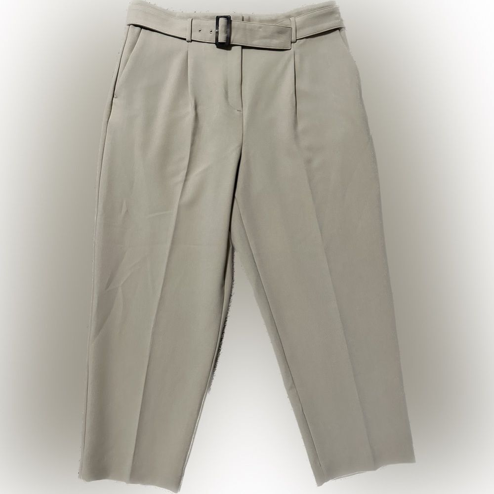 Ann Taylor Tan Curvy Fit Trousers